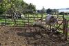 Bed & Breakfast Casato Calabrese