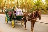 Hotel La Gazelle D'or Resort & Spa