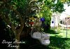 Hotel Derya Hanim Konagi