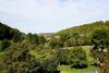 Hostal Gasthof Alte Schreinerei