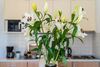 Apartments Subrenum