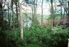 Dehart Cabin