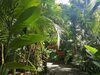 El Jardin De Playa Negra