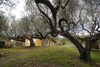 Agroturismo Barn�a - Agriturismo