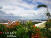 Cozy Condo Studio Near Airport With Wifi