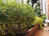 Apartamentos Duplex Vila Nova Concei��o