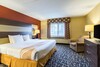 Hotel Quality Inn & Suites Mayo Clinic Area