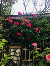 Hostal Guesthouse Berlin