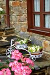 Apartamentos Rurales Ron
