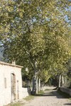 Villa Blanca