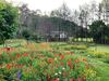 Hotel Country Resort By Ahrpl - Katra