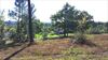 Relais de Montgeoffroy B&B