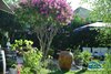 Bed & Breakfast Villa Saron