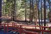 Cabana Deer Hollow