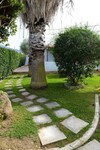 Apartamentos Patras Palm Tree
