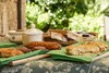 Bed & Breakfast Tenuta Il Grifo