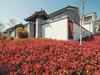 Meili Xiangyue Hotel Dali Garden Villa