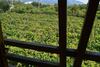 Hotel Twins Wine Cellar