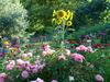 Bed & Breakfast Il Melograno