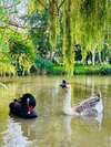 Ch�teau C�te De Nacre