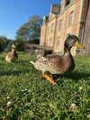 Ch�teau C�te De Nacre