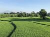 Hotel Derose Guest House Canggu Bali