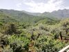 Bed & Breakfast Il Giardino