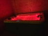Hotel Diane Luxury