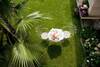 Bed & Breakfast Villa L'oliveta