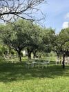 Bed & Breakfast Villa L'oliveta