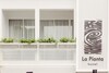 Hostal La Pianta Hostel