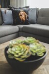 Apartamentos B2 Penthouses By Ylma