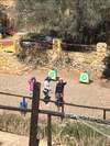 Camping Fontsdelalgar