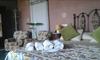 Agroturismo Finca Los P�jaros
