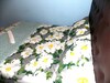 Hostal Trap Houz Backpackers