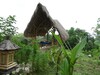 Bed & Breakfast Penida Bambu Green Villas