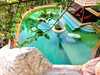 Ever Dreamed Of Staying In A 3 Bedroom Castle