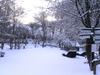 Pleasing Apartment In Dreislar Near Ski Area