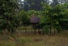 Hotel Aamod Bagh Tola Lodges - Bandhavgarh