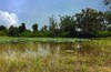 Hotel Aamod Bagh Tola Lodges - Bandhavgarh