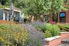 The Laurels B&B