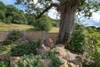 The Laurels B&B