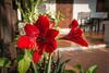 Mylaohome Hotel & Spa
