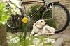 Hotel Taleton Eco Guest House