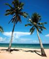 Hotel Coco Palm Beach Resort & Spa