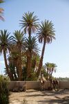 Posada Skoura Lodge
