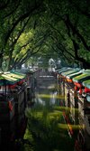 Hotel Le M�ridien Suzhou, Suzhou Bay