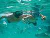 Hotel Sunscape Sabor Cozumel - Todo Incluido