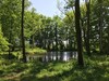 Hotel Le Domaine de La C�te Aux Chats