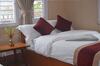 Delight Hotel